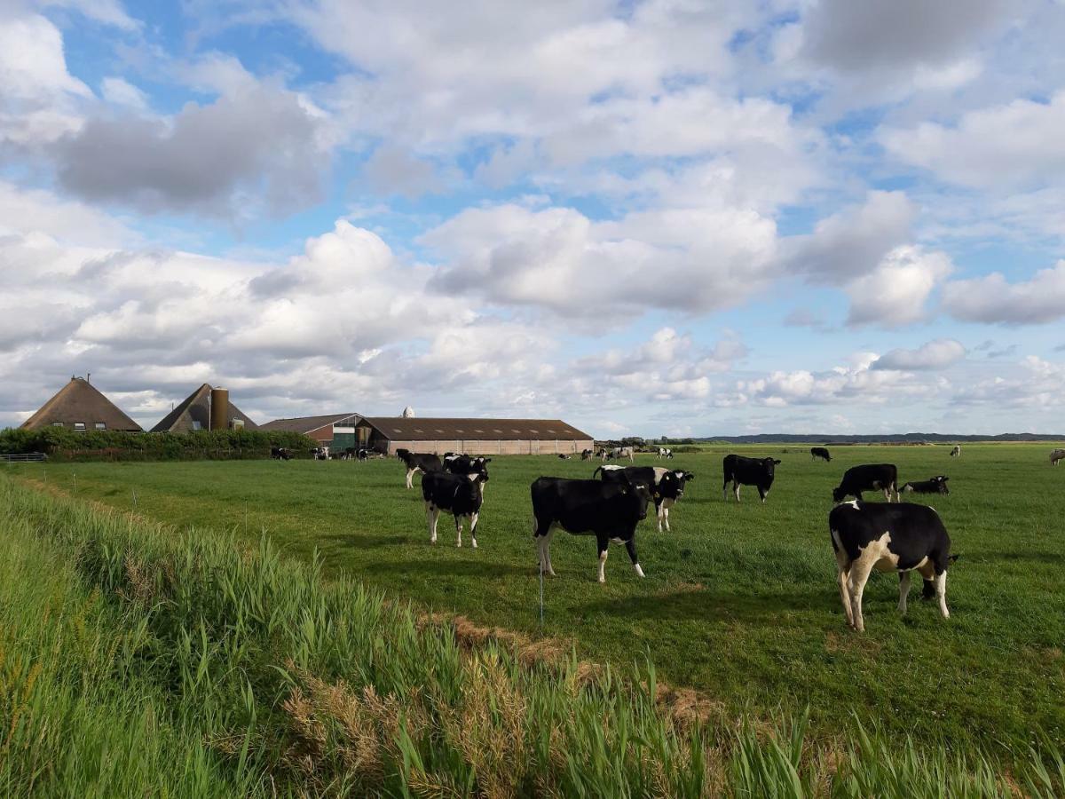 Iefjeshoeve Petten Exterior foto