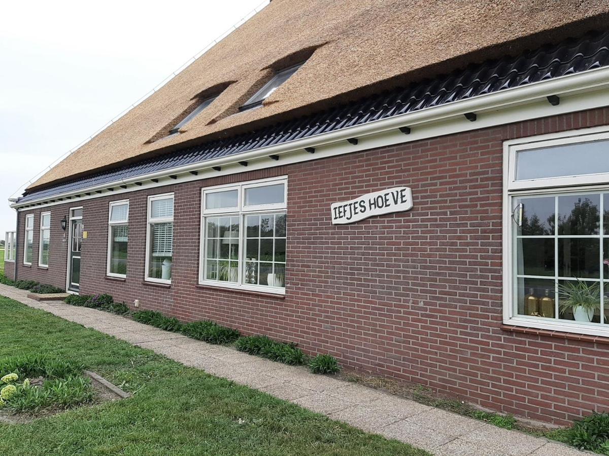 Iefjeshoeve Petten Exterior foto